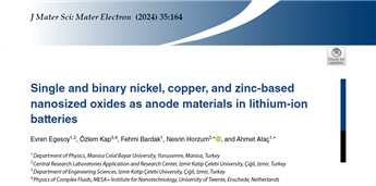 Ekran görüntüsü 2024-04-15 163049