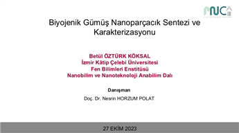 Ekran görüntüsü 2024-04-16 140314