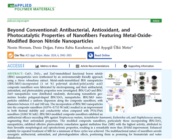 Ekran görüntüsü 2024-04-16 145422