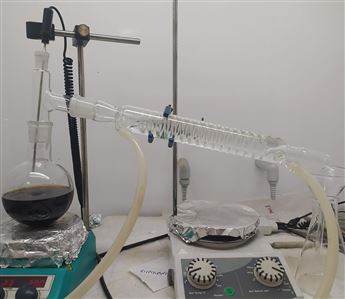 WhatsApp Image 2023-05-24 at 16.23.41