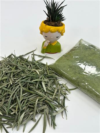 WhatsApp Image 2023-05-24 at 18.36.54