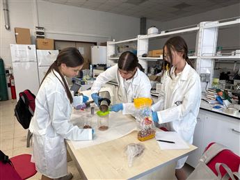 WhatsApp Image 2025-12-18 at 16.32.57 (1)