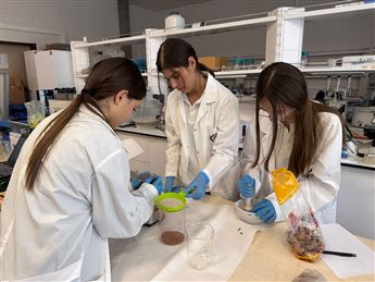 WhatsApp Image 2025-12-18 at 16.32.57