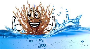 WhatsApp Image 2025-12-24 at 12.02.15